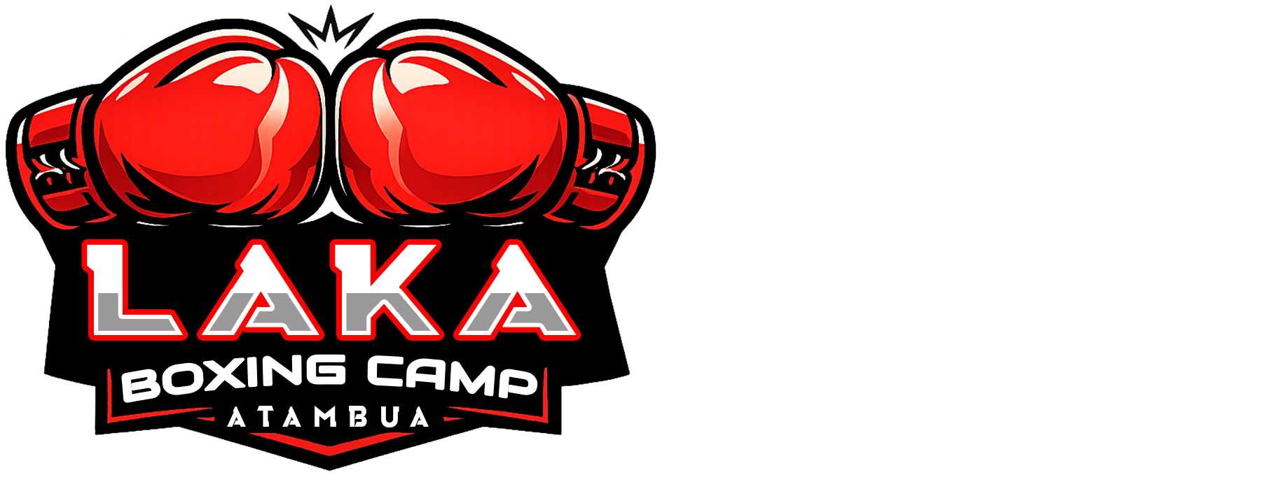 LAKA BOXING