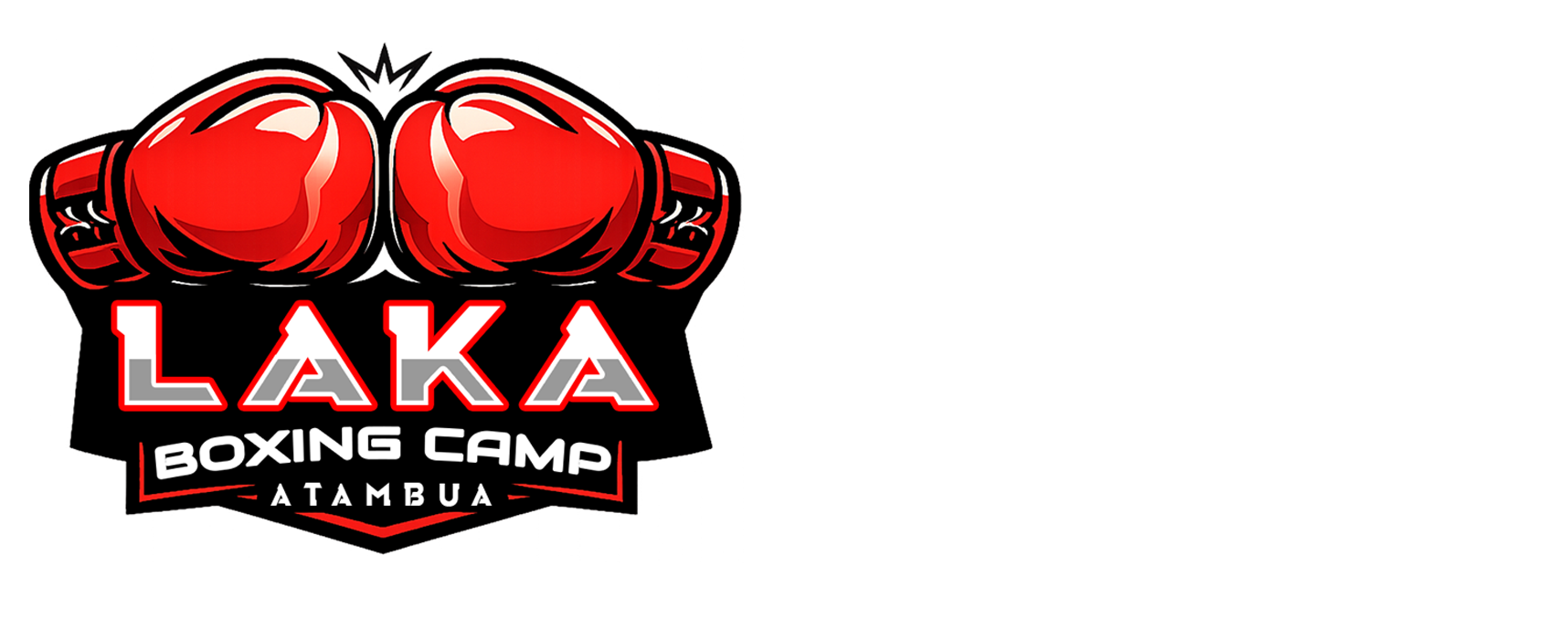LAKA BOXING